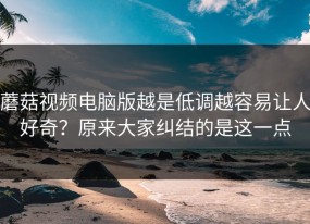 蘑菇视频电脑版越是低调越容易让人好奇？原来大家纠结的是这一点