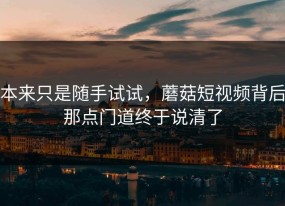 本来只是随手试试，蘑菇短视频背后那点门道终于说清了