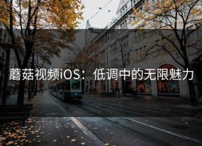 蘑菇视频iOS：低调中的无限魅力