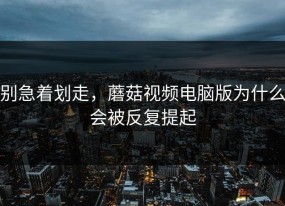 别急着划走，蘑菇视频电脑版为什么会被反复提起