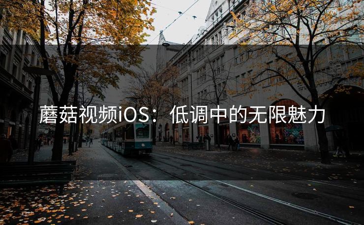 蘑菇视频iOS：低调中的无限魅力