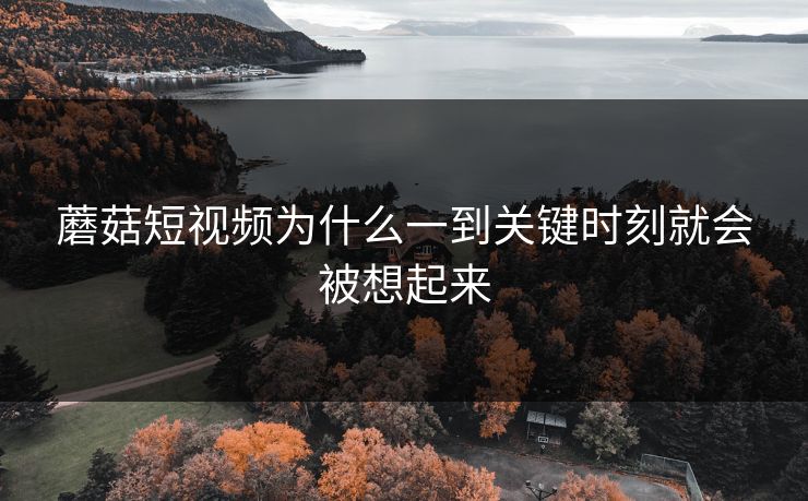 蘑菇短视频为什么一到关键时刻就会被想起来