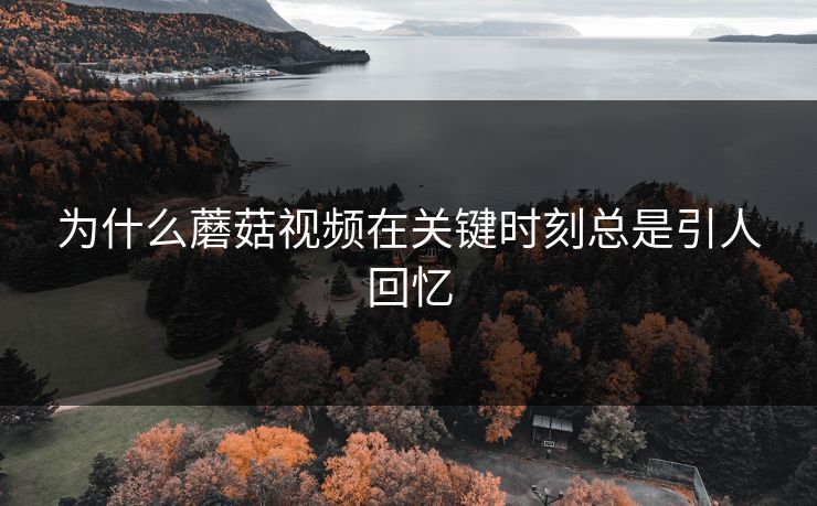 为什么蘑菇视频在关键时刻总是引人回忆