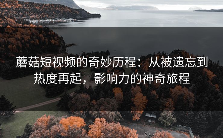 蘑菇短视频的奇妙历程：从被遗忘到热度再起，影响力的神奇旅程