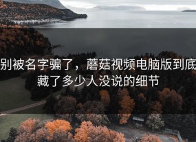 别被名字骗了，蘑菇视频电脑版到底藏了多少人没说的细节