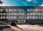 它一直藏在热门边上，每日大赛今日热度抬头的微妙原因，这类细节往往最能决定观感，不少人看到最后才反应过来