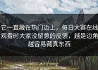它一直藏在热门边上，每日大赛在线观看时大家没留意的反馈，越是边角越容易藏真东西