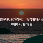 探秘蘑菇视频官网：深夜的秘密与用户的无限惊喜