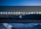 蘑菇影视在线观看为什么会被反复提起