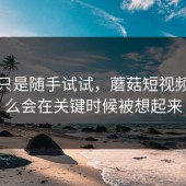 本来只是随手试试，蘑菇短视频为什么会在关键时候被想起来