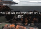 为什么蘑菇视频在关键时刻总是引人回忆