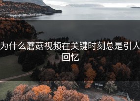 为什么蘑菇视频在关键时刻总是引人回忆