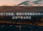 用了才知道，蘑菇视频电脑版突然火起来不是没原因