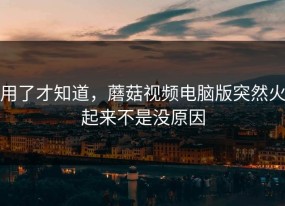 用了才知道，蘑菇视频电脑版突然火起来不是没原因