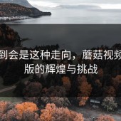 没想到会是这种走向，蘑菇视频电脑版的辉煌与挑战