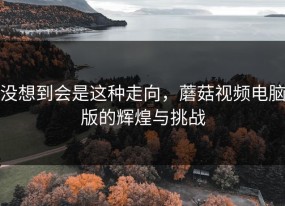 没想到会是这种走向，蘑菇视频电脑版的辉煌与挑战