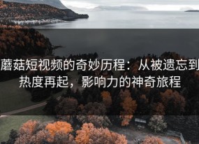 蘑菇短视频的奇妙历程：从被遗忘到热度再起，影响力的神奇旅程