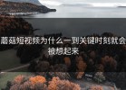 蘑菇短视频为什么一到关键时刻就会被想起来