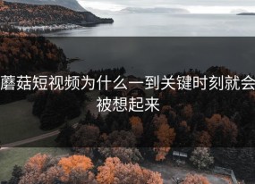 蘑菇短视频为什么一到关键时刻就会被想起来