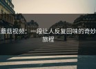 蘑菇视频：一段让人反复回味的奇妙旅程