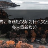 说真的，蘑菇短视频为什么突然被很多人重新搜起