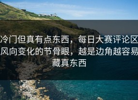 冷门但真有点东西，每日大赛评论区风向变化的节骨眼，越是边角越容易藏真东西