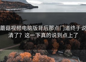 蘑菇视频电脑版背后那点门道终于说清了？这一下真的说到点上了