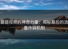 蘑菇视频的神奇力量：揭秘幕后的流量炸锅机制