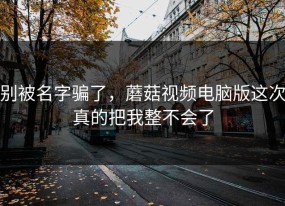 别被名字骗了，蘑菇视频电脑版这次真的把我整不会了
