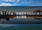 用了才知道，蘑菇视频电脑版的真实评价揭晓