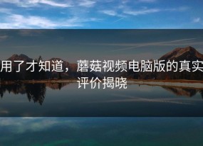 用了才知道，蘑菇视频电脑版的真实评价揭晓