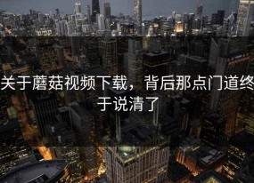 关于蘑菇视频下载，背后那点门道终于说清了