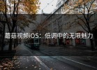 蘑菇视频iOS：低调中的无限魅力