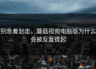 别急着划走，蘑菇视频电脑版为什么会被反复提起