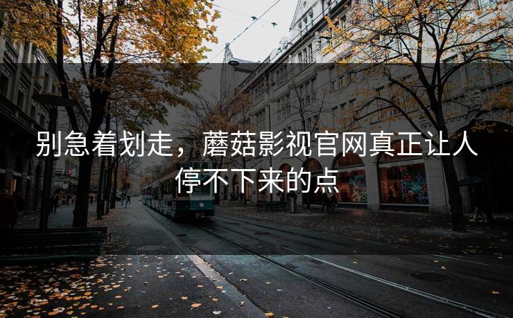 别急着划走，蘑菇影视官网真正让人停不下来的点
