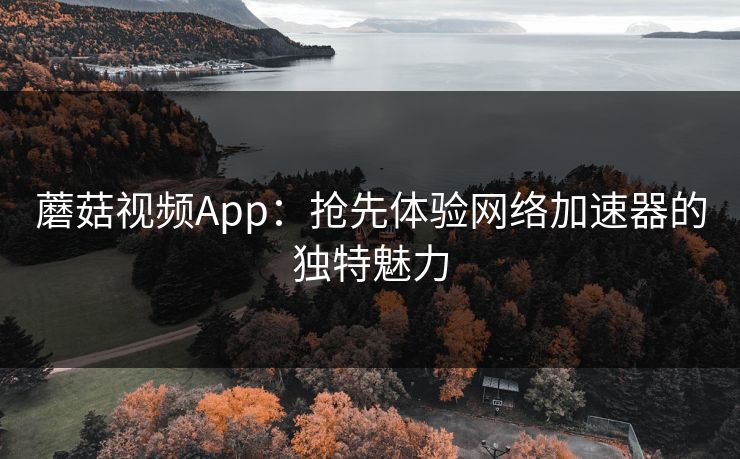 蘑菇视频App：抢先体验网络加速器的独特魅力