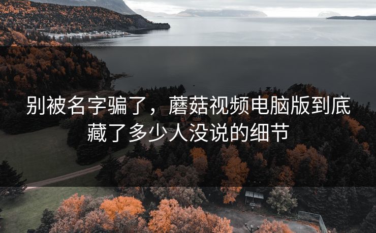 别被名字骗了，蘑菇视频电脑版到底藏了多少人没说的细节