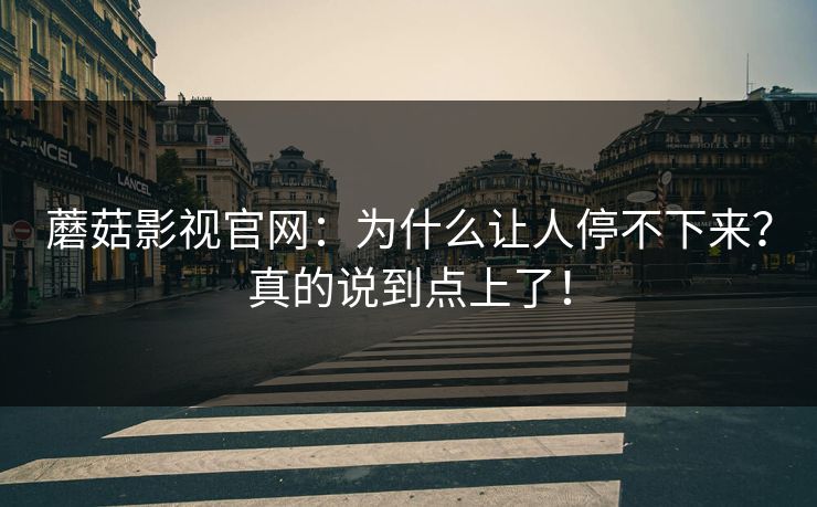 蘑菇影视官网：为什么让人停不下来？真的说到点上了！
