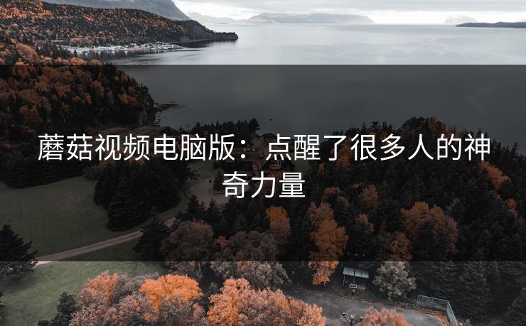 蘑菇视频电脑版：点醒了很多人的神奇力量