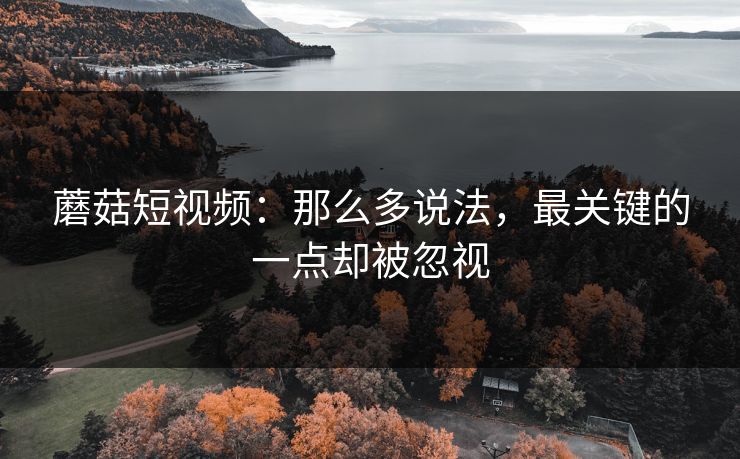 蘑菇短视频：那么多说法，最关键的一点却被忽视