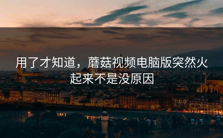 用了才知道，蘑菇视频电脑版突然火起来不是没原因