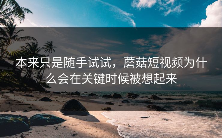 本来只是随手试试,蘑菇短视频为什么会在关键时候被想起来 本来只是随手试试,蘑菇短视频为什么会在关键时候被想起来