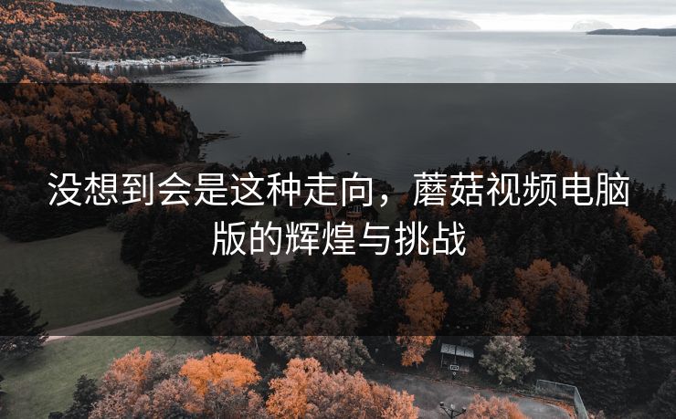 没想到会是这种走向,蘑菇视频电脑版的辉煌与挑战 没想到会是这种走向,蘑菇视频电脑版的辉煌与挑战